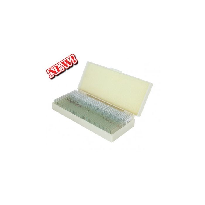 saxon Prepared Plants Biological Microscope Slides (50pc)