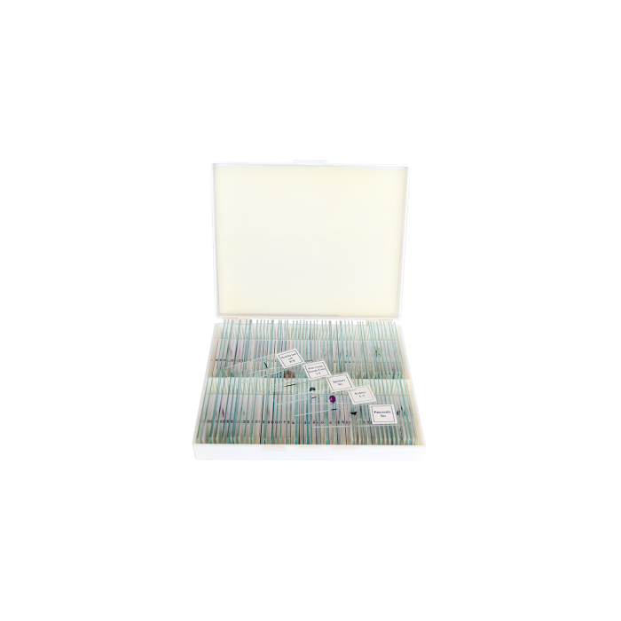 saxon Prepared Biological Microscope Slides (100pc)