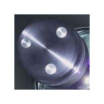 Bobs Knobs for Meade 16 2 Inch f/10 with 3-Screw Secondary