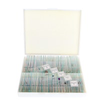 saxon Prepared Biological Microscope Slides (100pc)