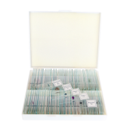 saxon Prepared Biological Microscope Slides (100pc)