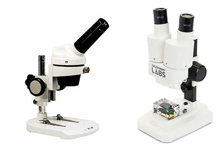 20x microscope